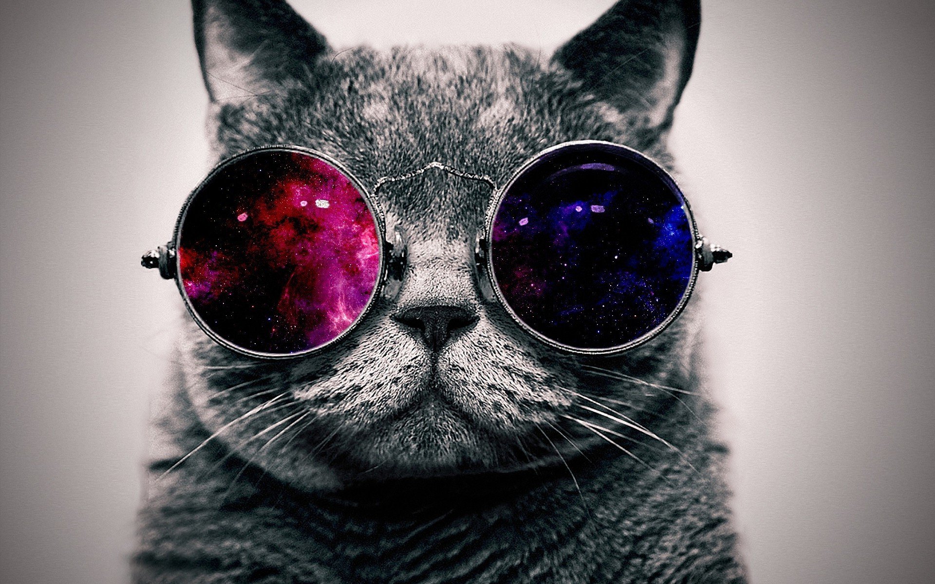 Cool Cat Wallpapers