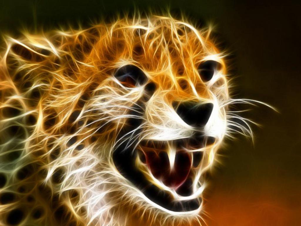 Cool Cheetah Wallpapers