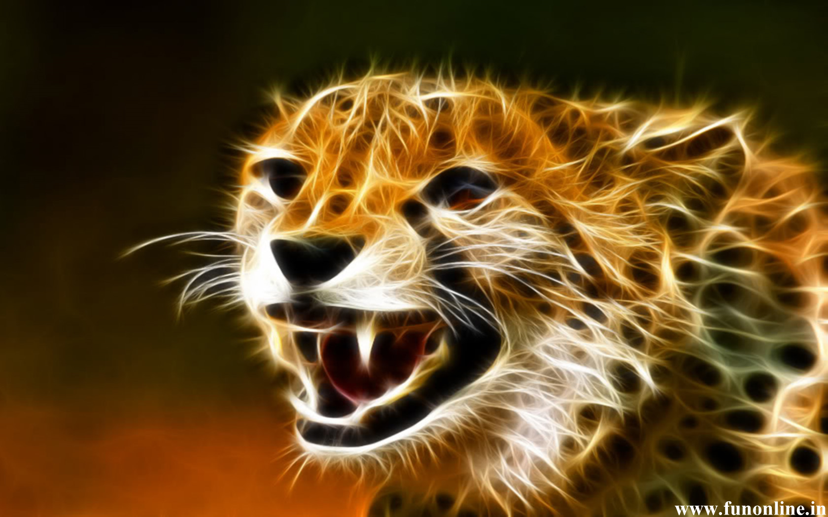 Cool Cheetah Wallpapers