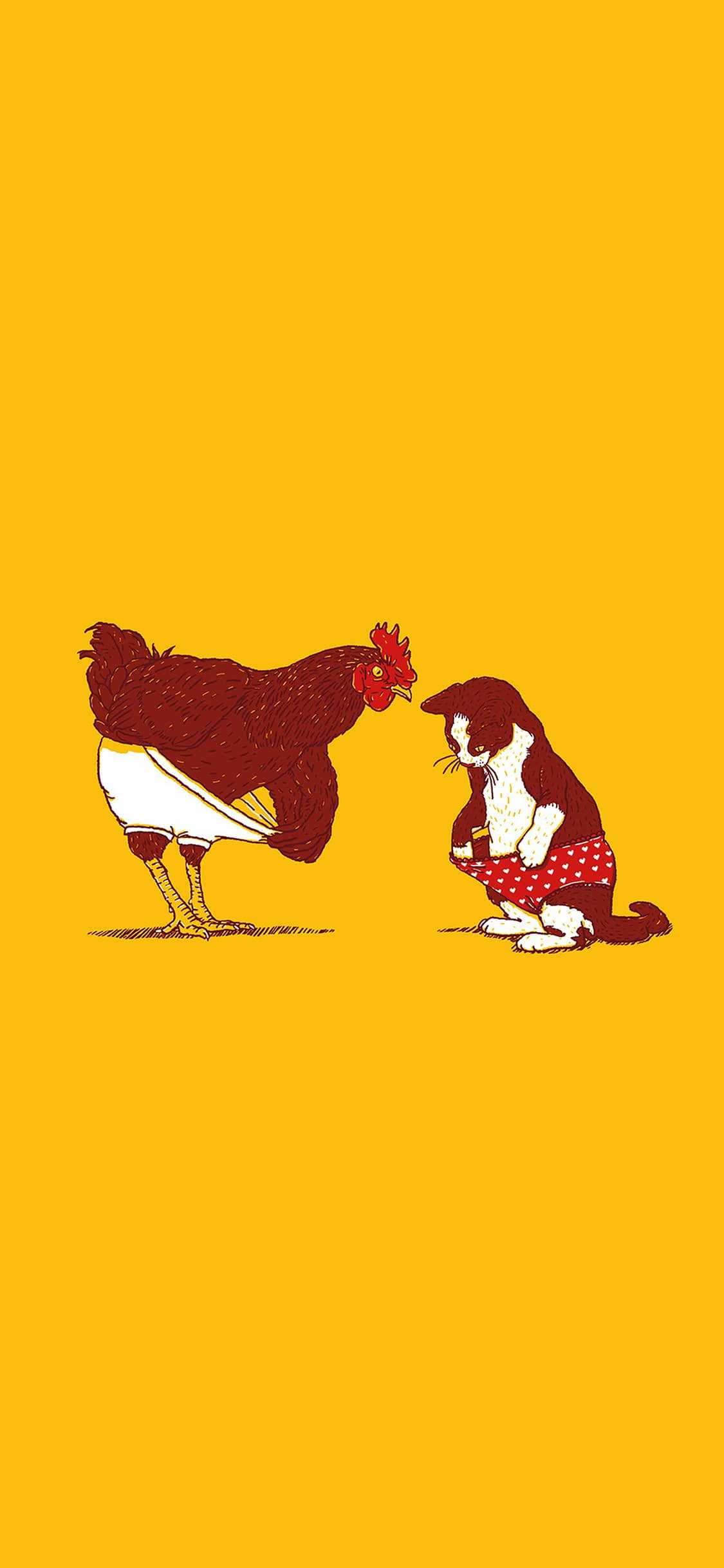 Cool Chicken Wallpapers