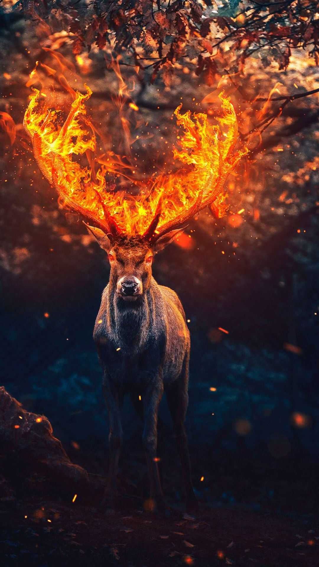 Cool Deer Wallpapers