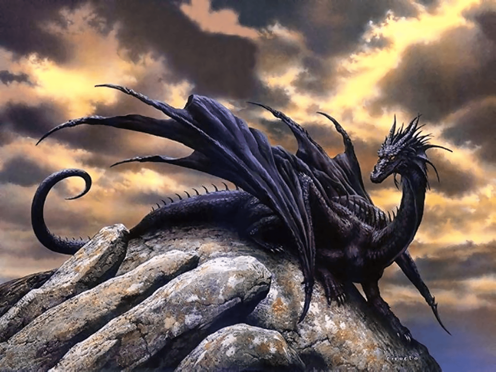 Cool Dragon Wallpaper Designs Wallpapers