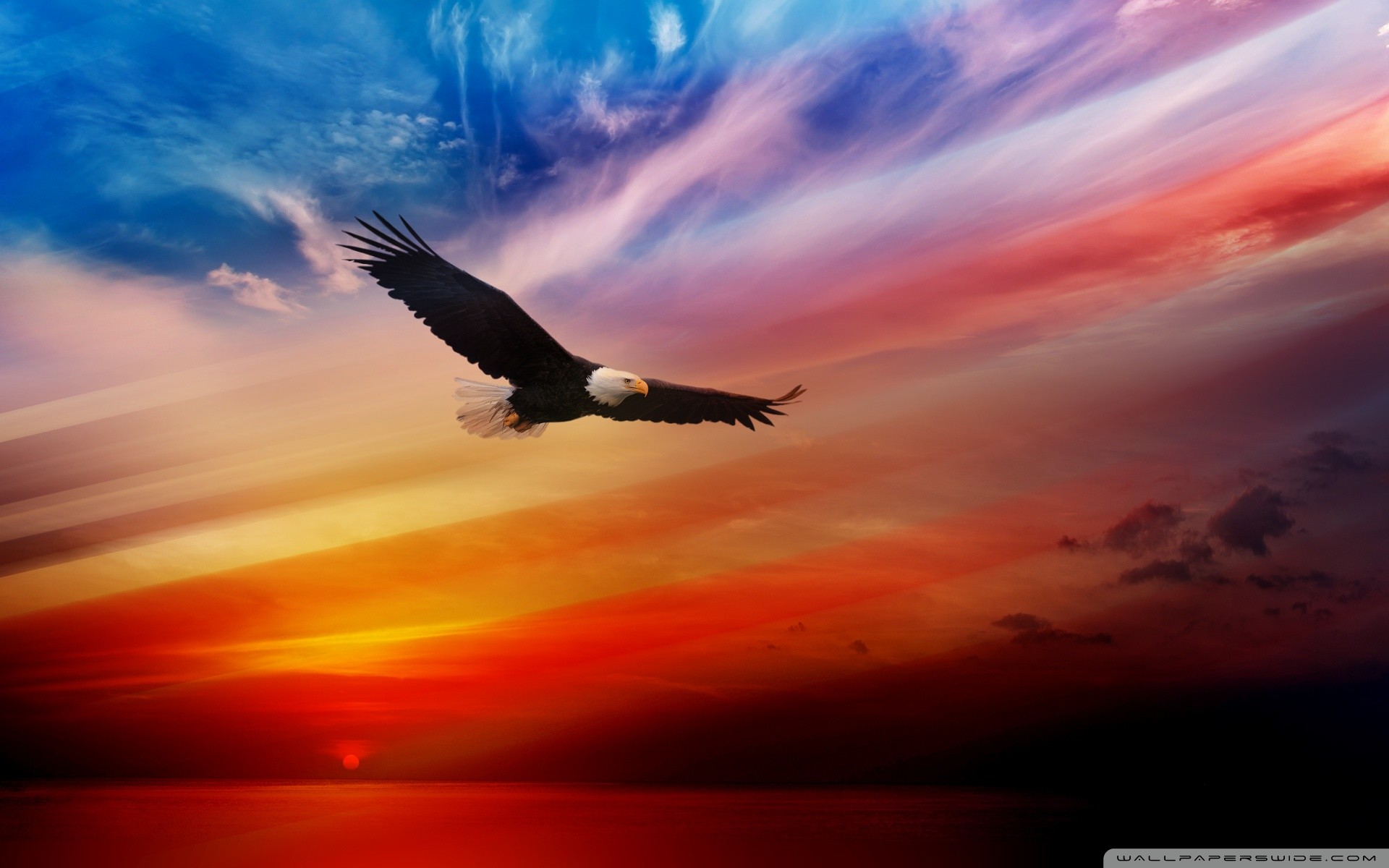 Cool Eagle Flags Wallpapers Wallpapers