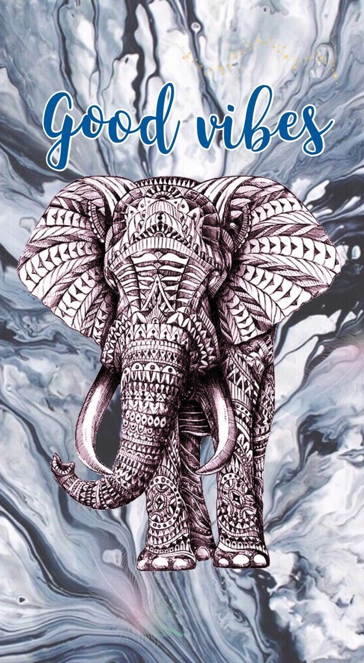 Cool Elephant Phone Wallpapers