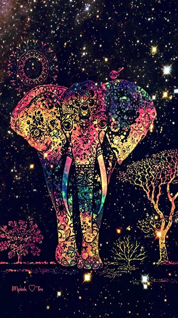 Cool Elephant Phone Wallpapers