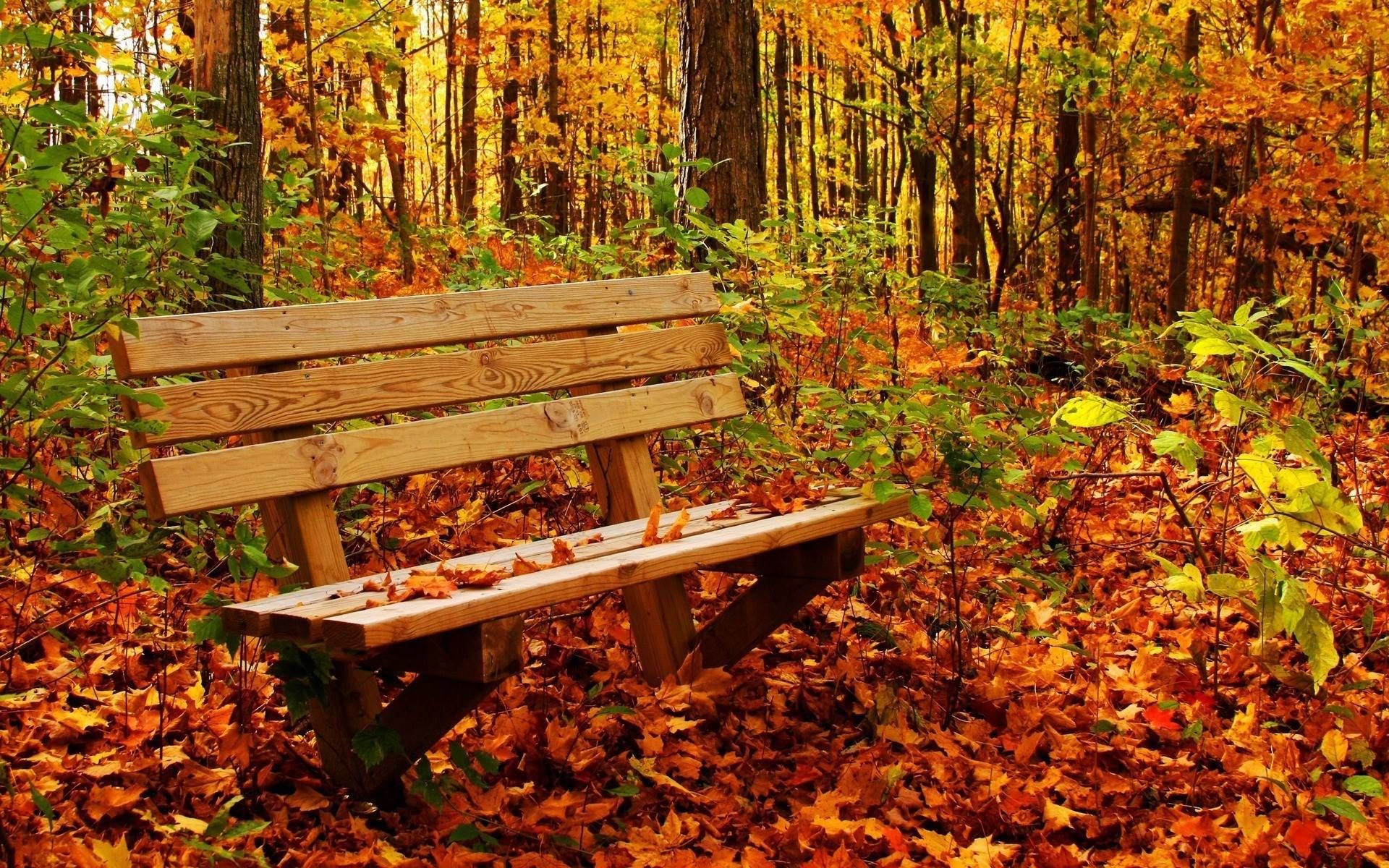 Cool Fall Backgrounds