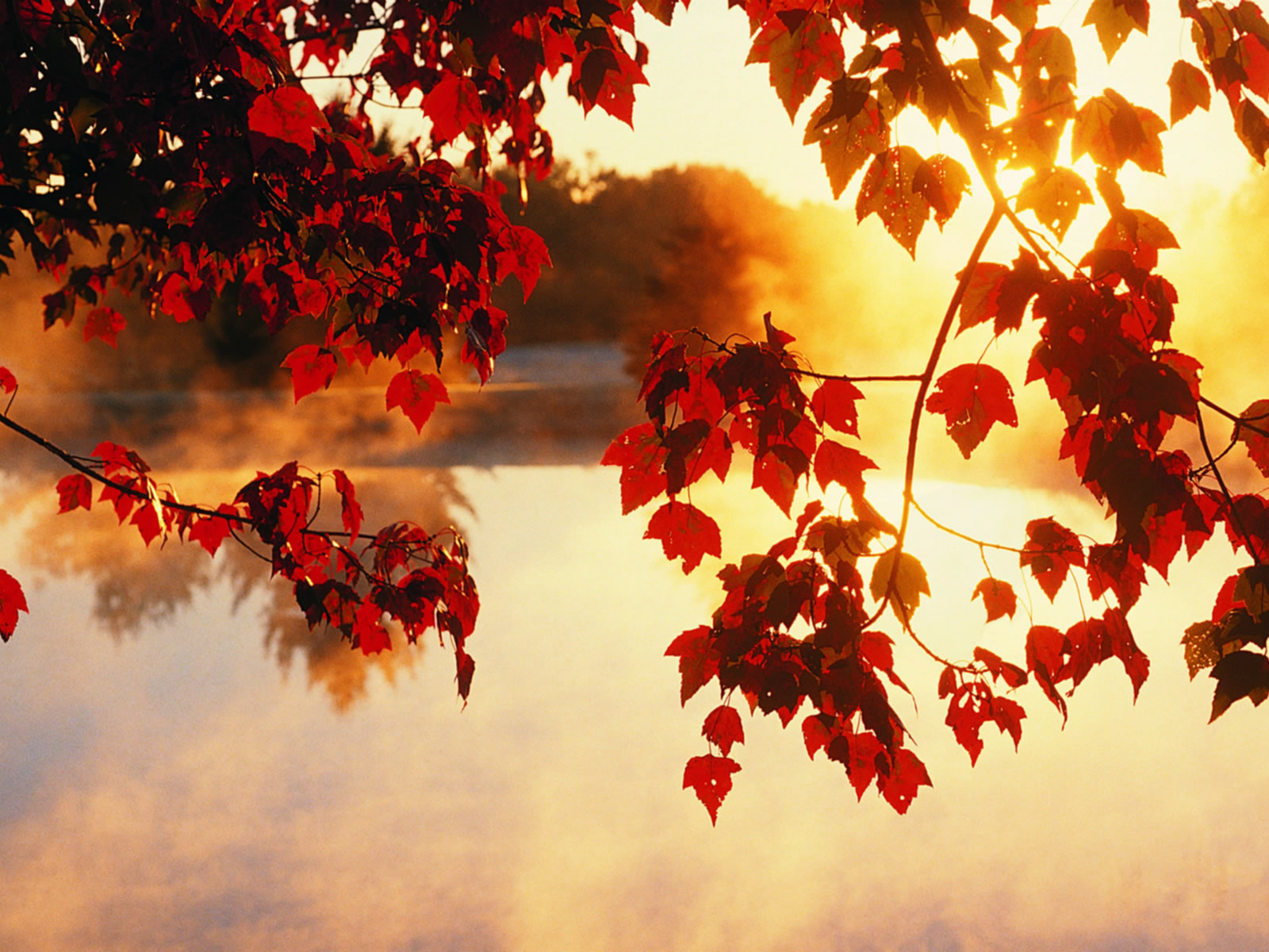 Cool Fall Backgrounds