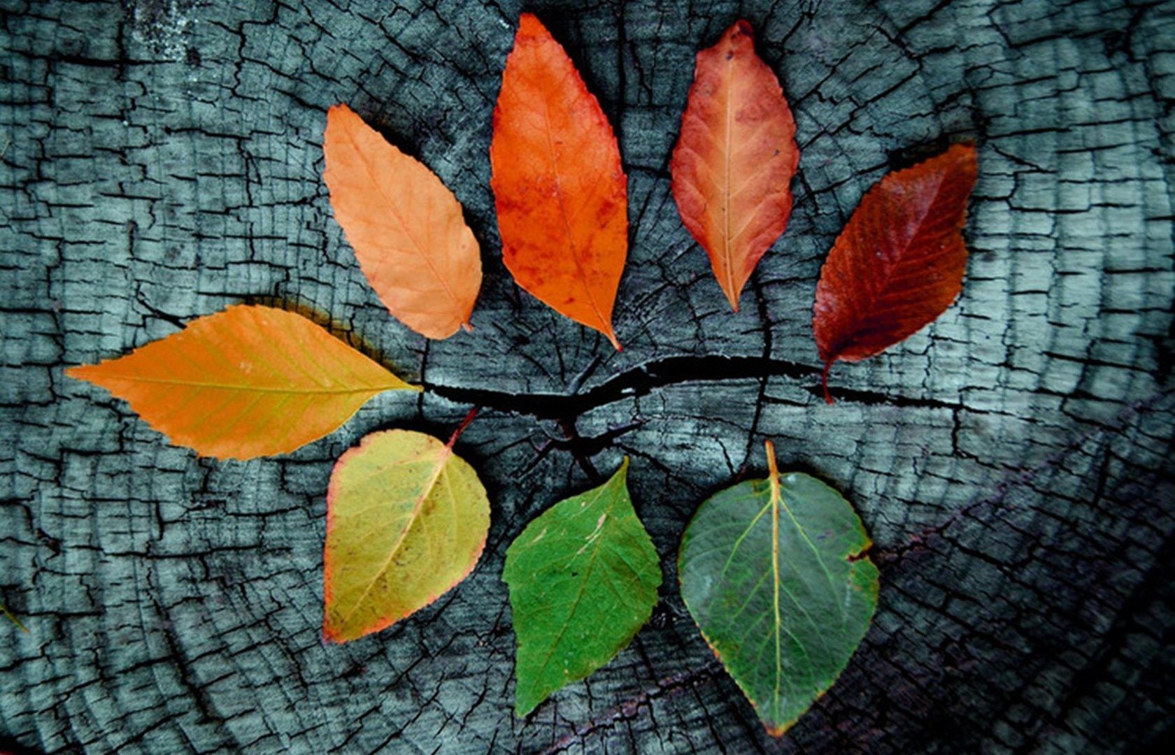 Cool Fall Backgrounds