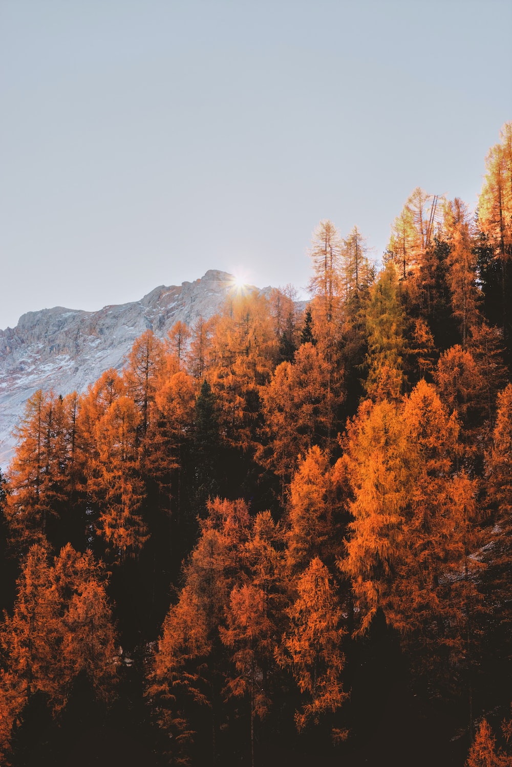 Cool Fall Backgrounds