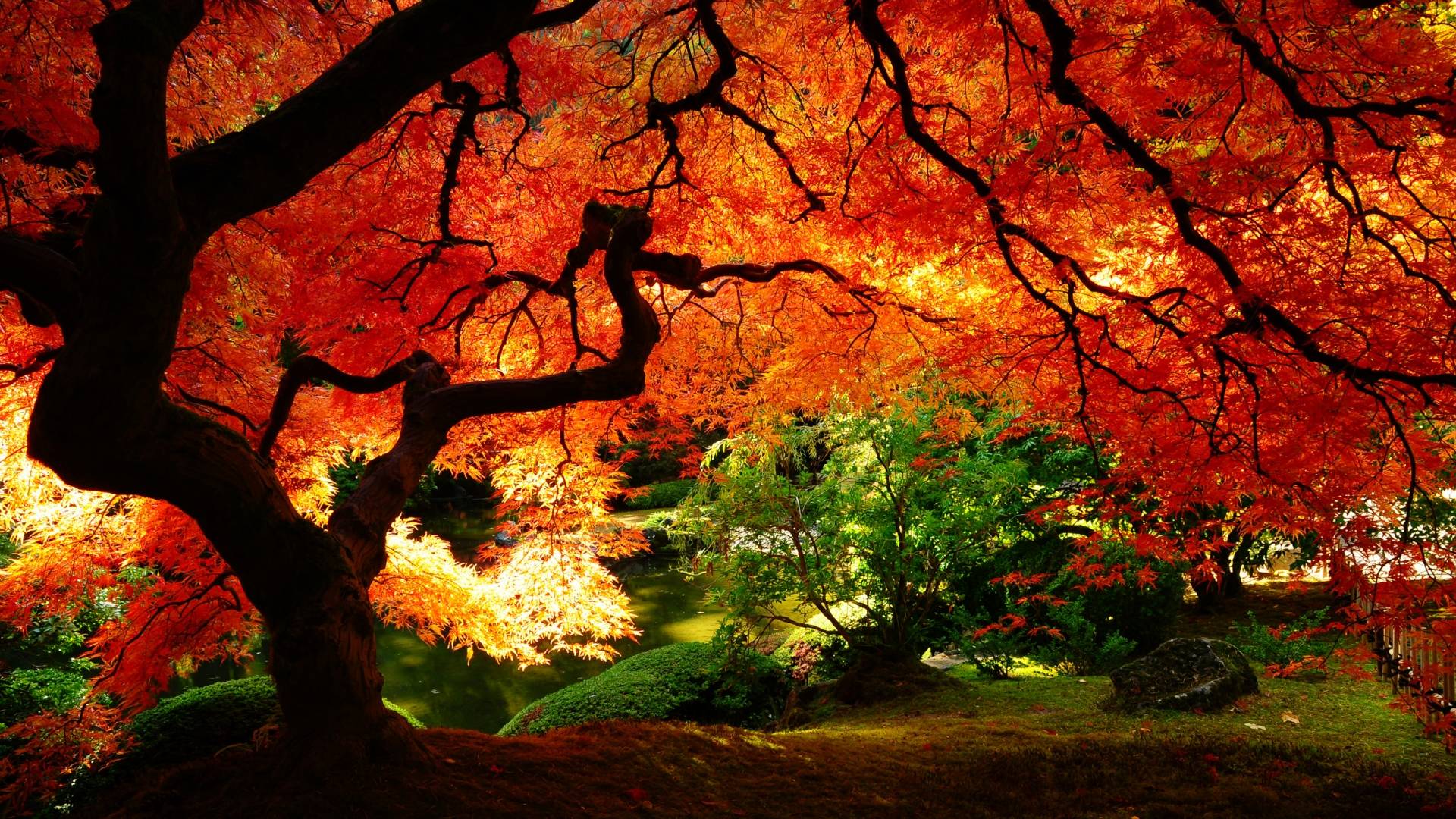 Cool Fall Backgrounds