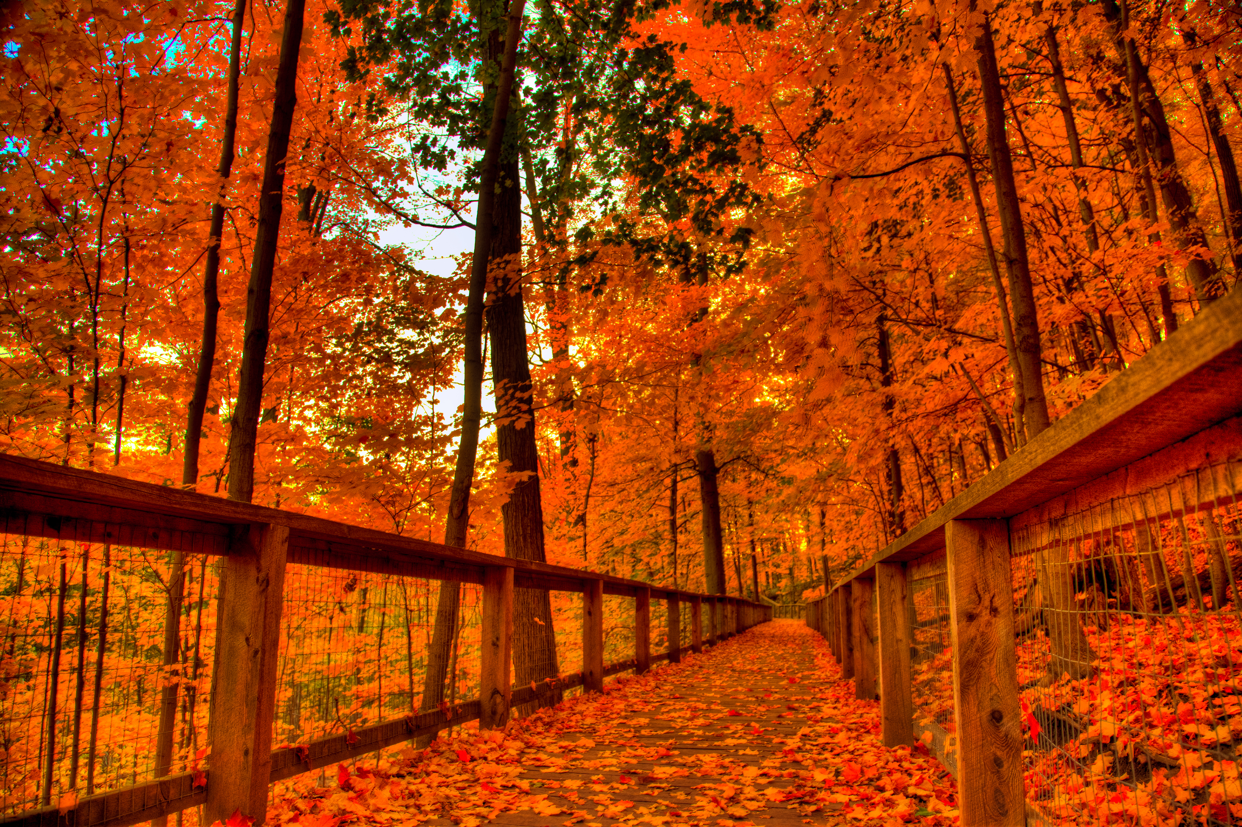 Cool Fall Backgrounds