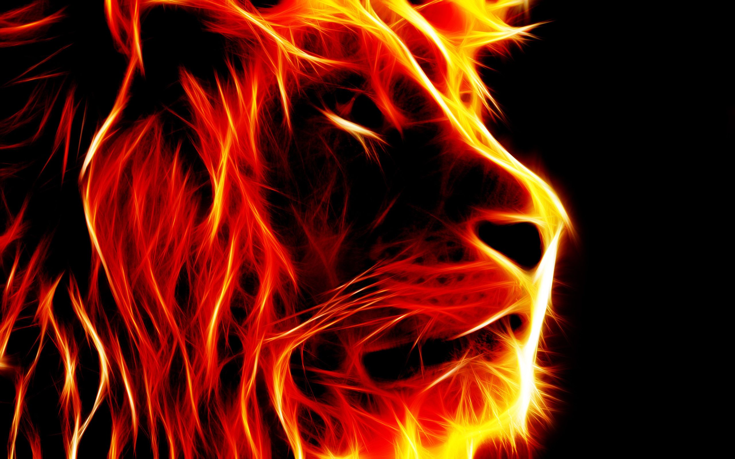 Cool Fire Lion Wallpapers