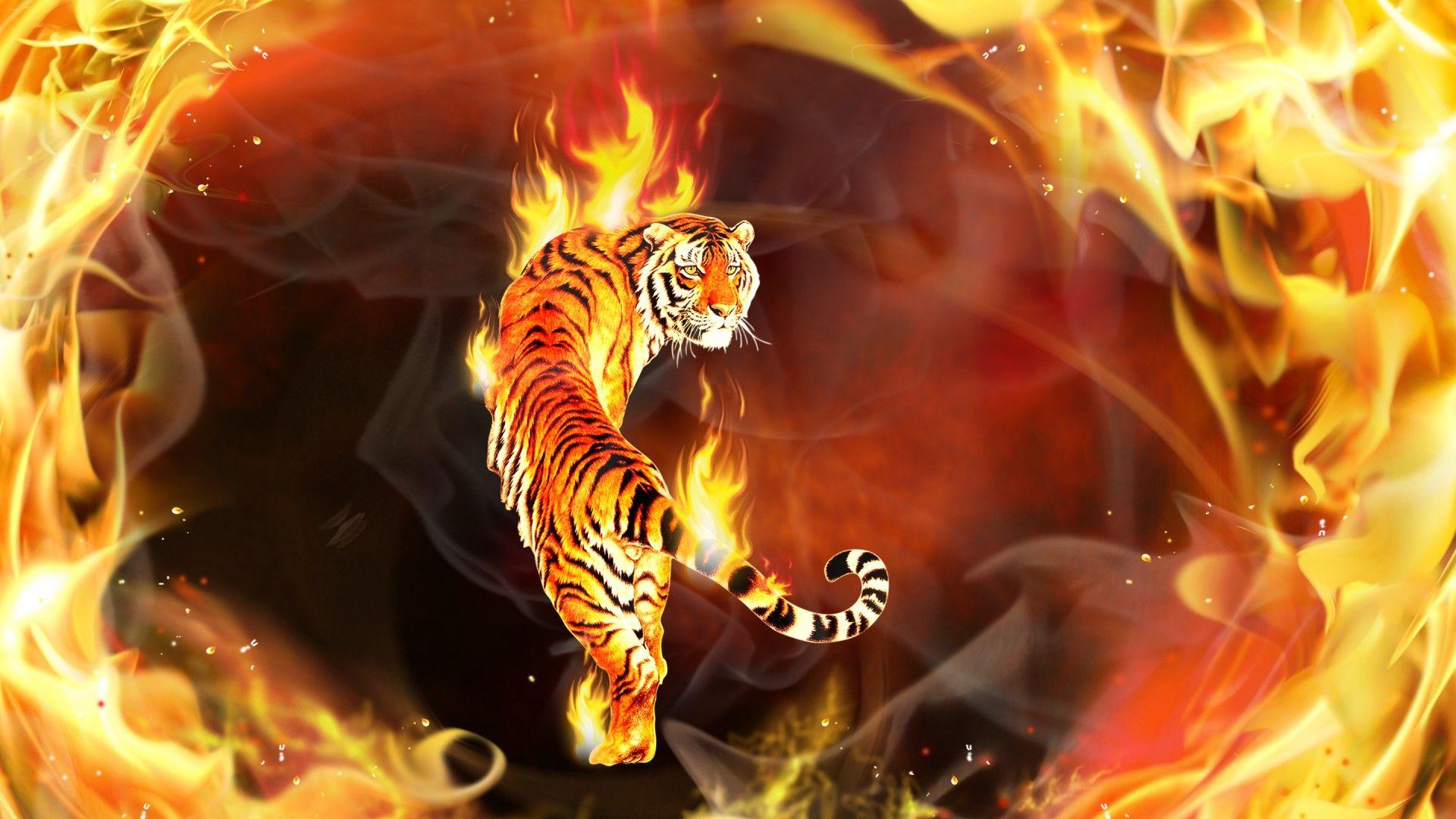 Cool Fire Tiger Wallpapers