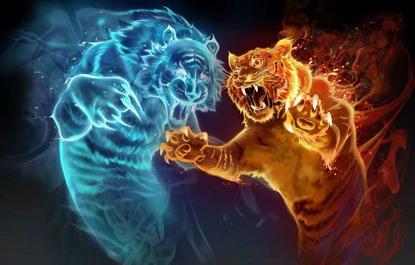 Cool Fire Tiger Wallpapers