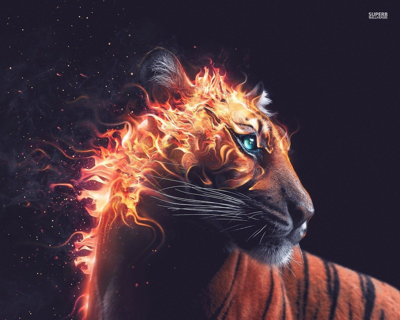 Cool Fire Tiger Wallpapers