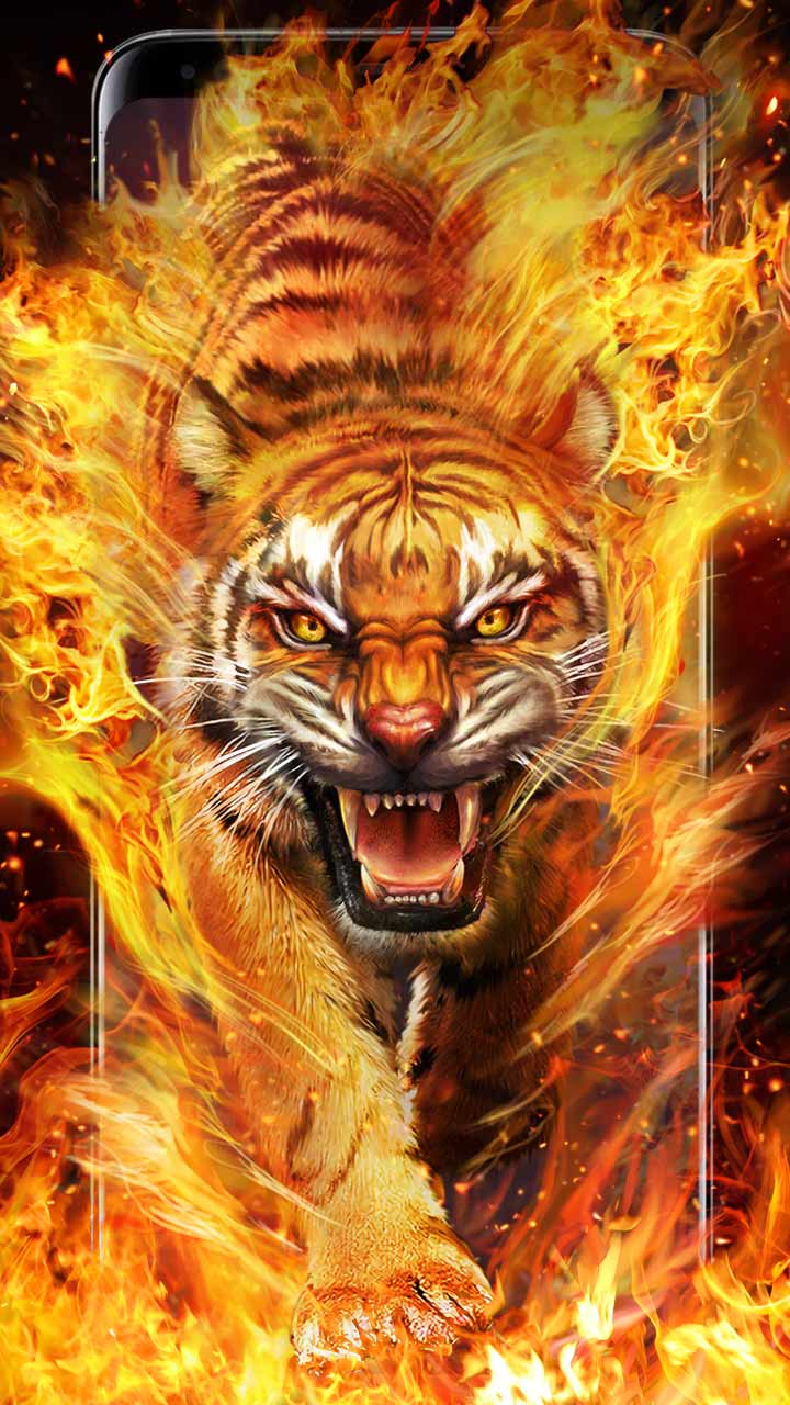 Cool Fire Tiger Wallpapers