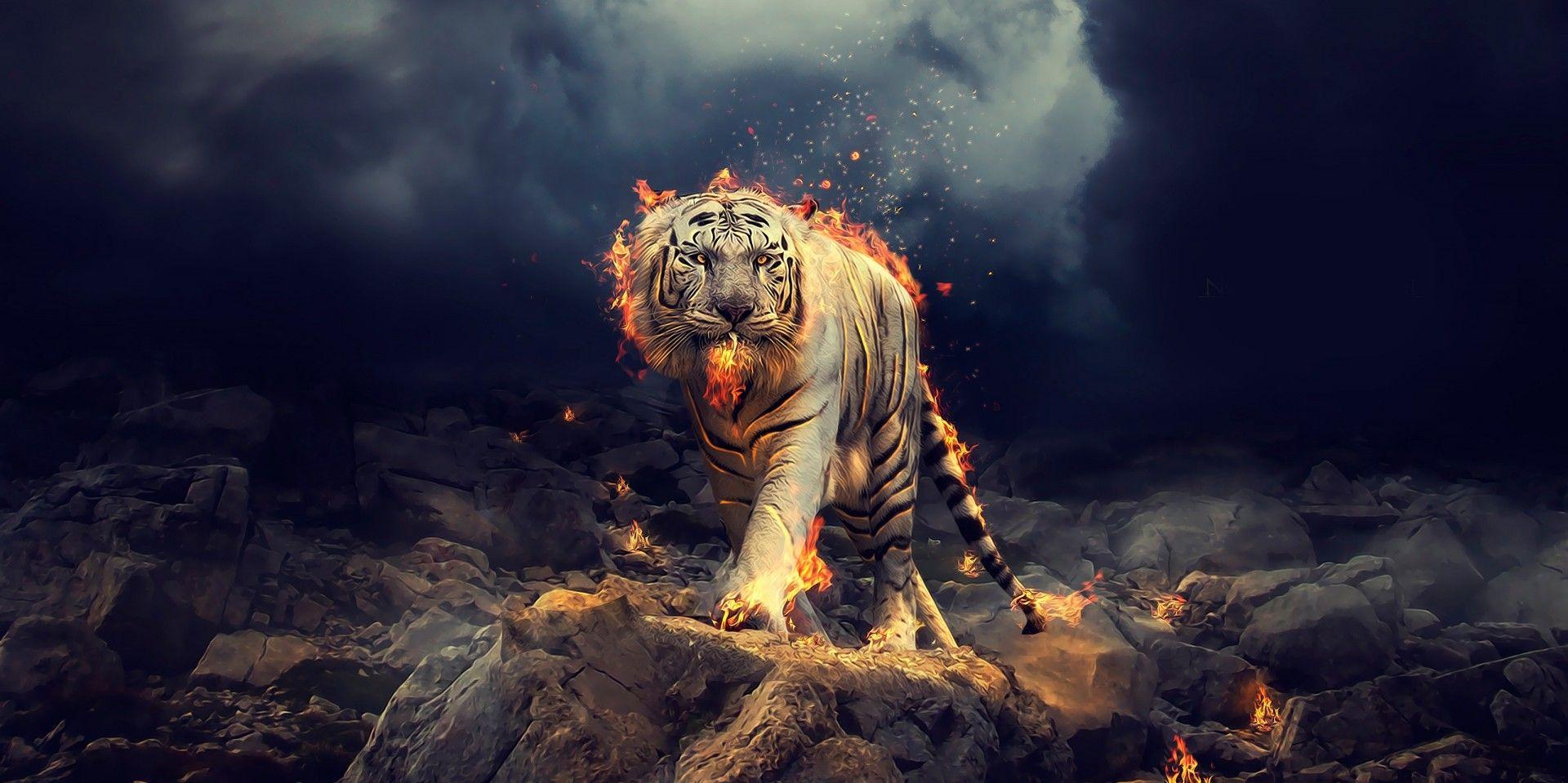 Cool Fire Tiger Wallpapers