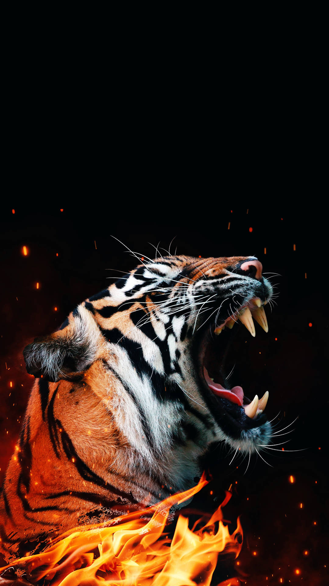 Cool Fire Tiger Wallpapers