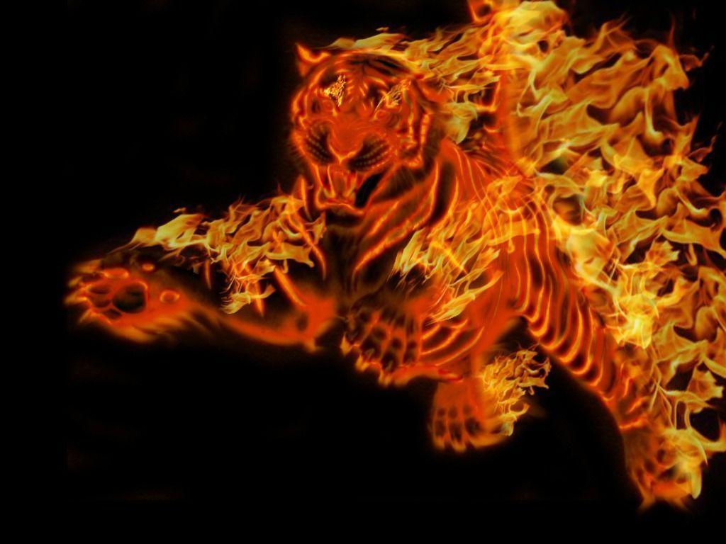 Cool Fire Tiger Wallpapers