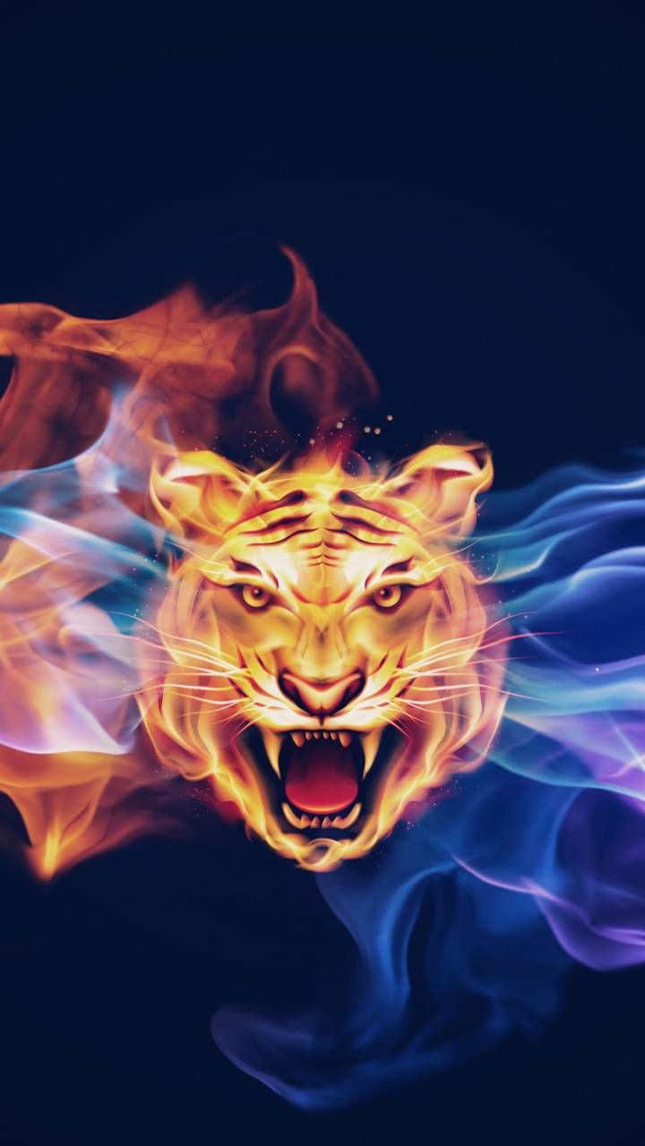 Cool Fire Tiger Wallpapers