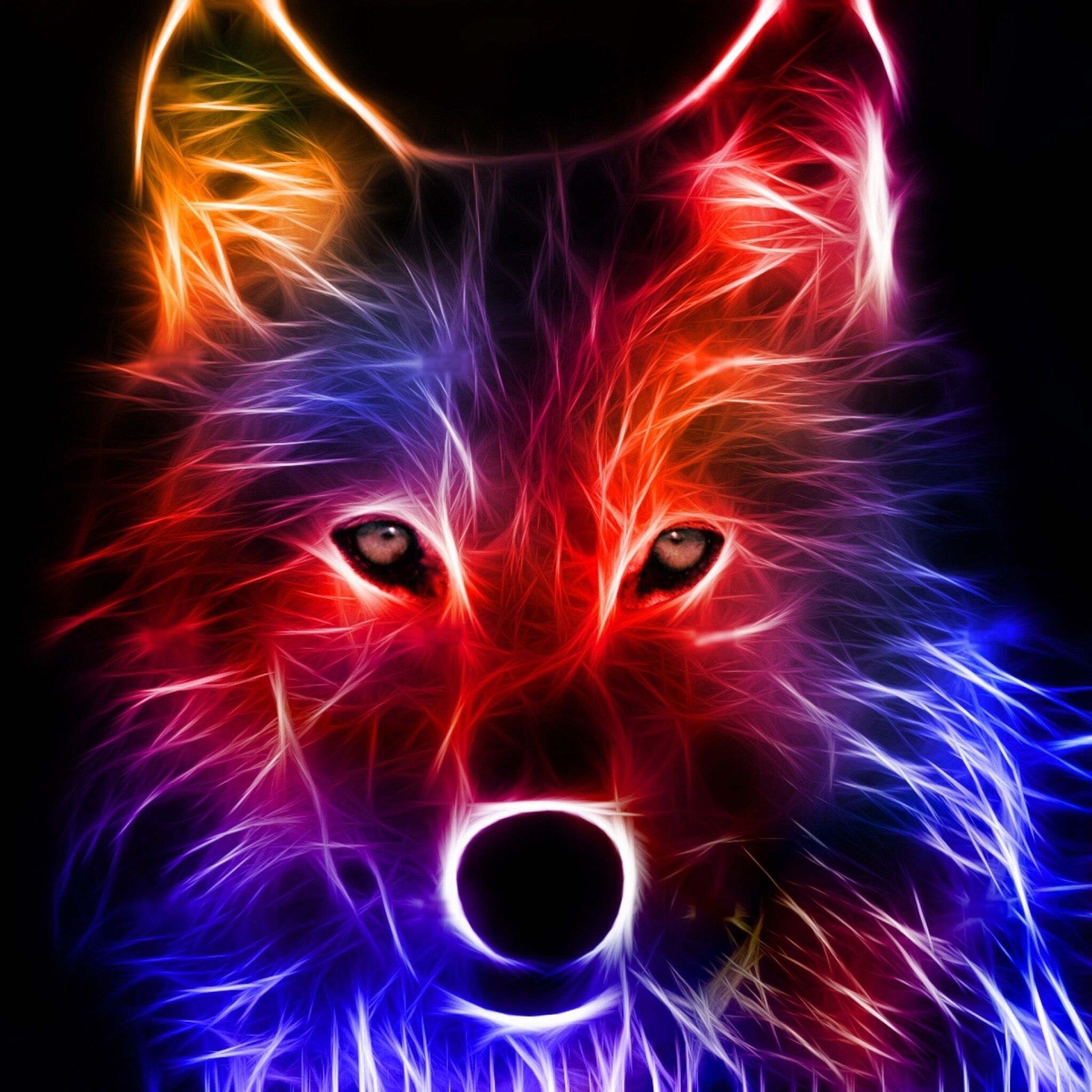 Cool Fire Wolf Wallpapers