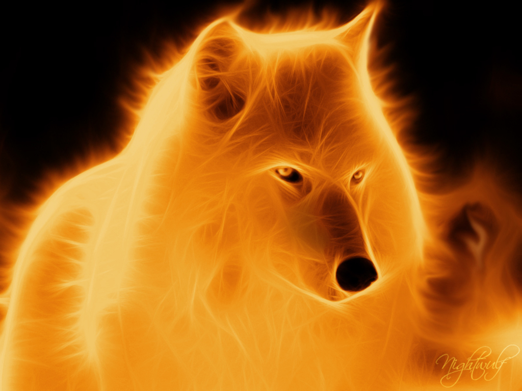 Cool Fire Wolf Wallpapers