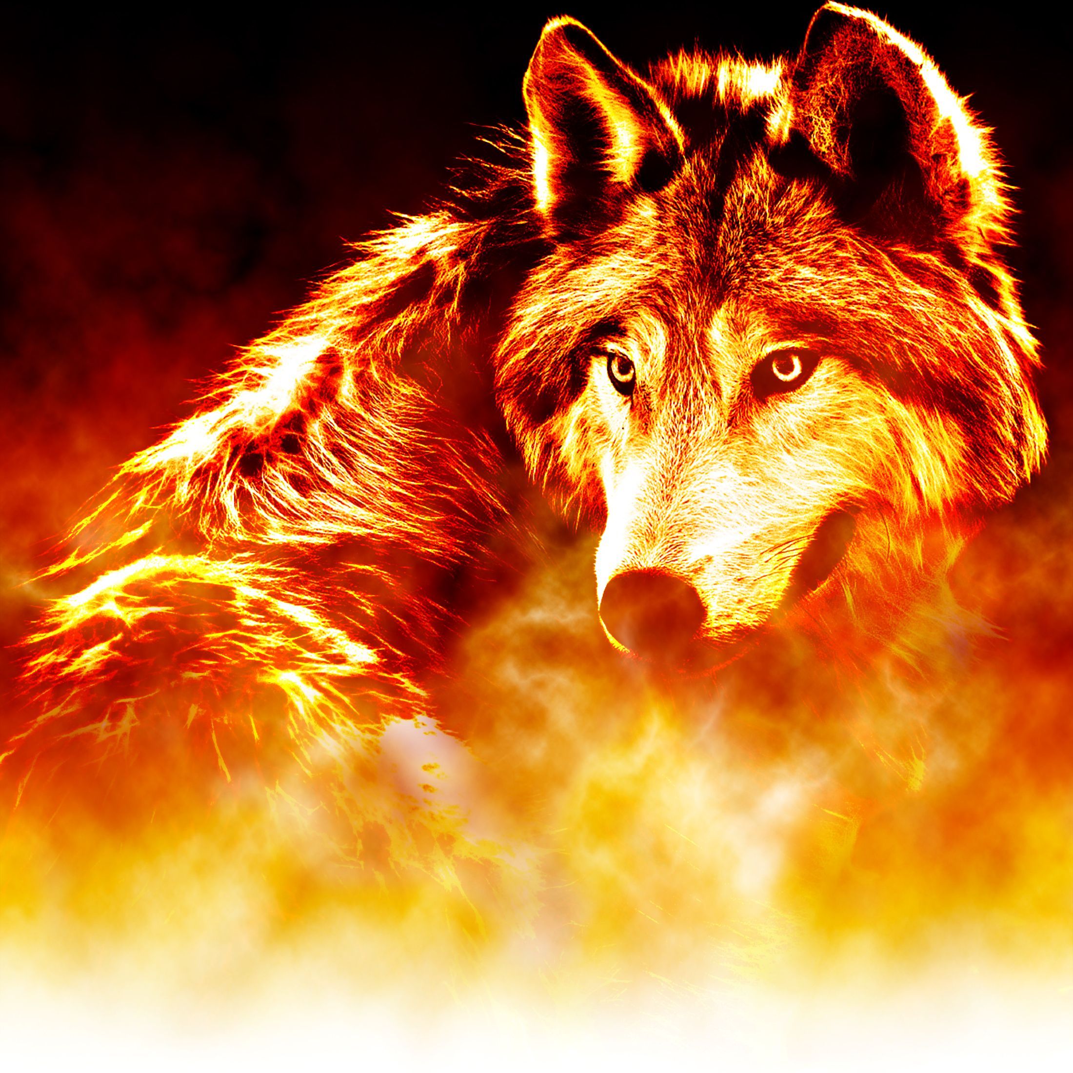 Cool Fire Wolf Wallpapers