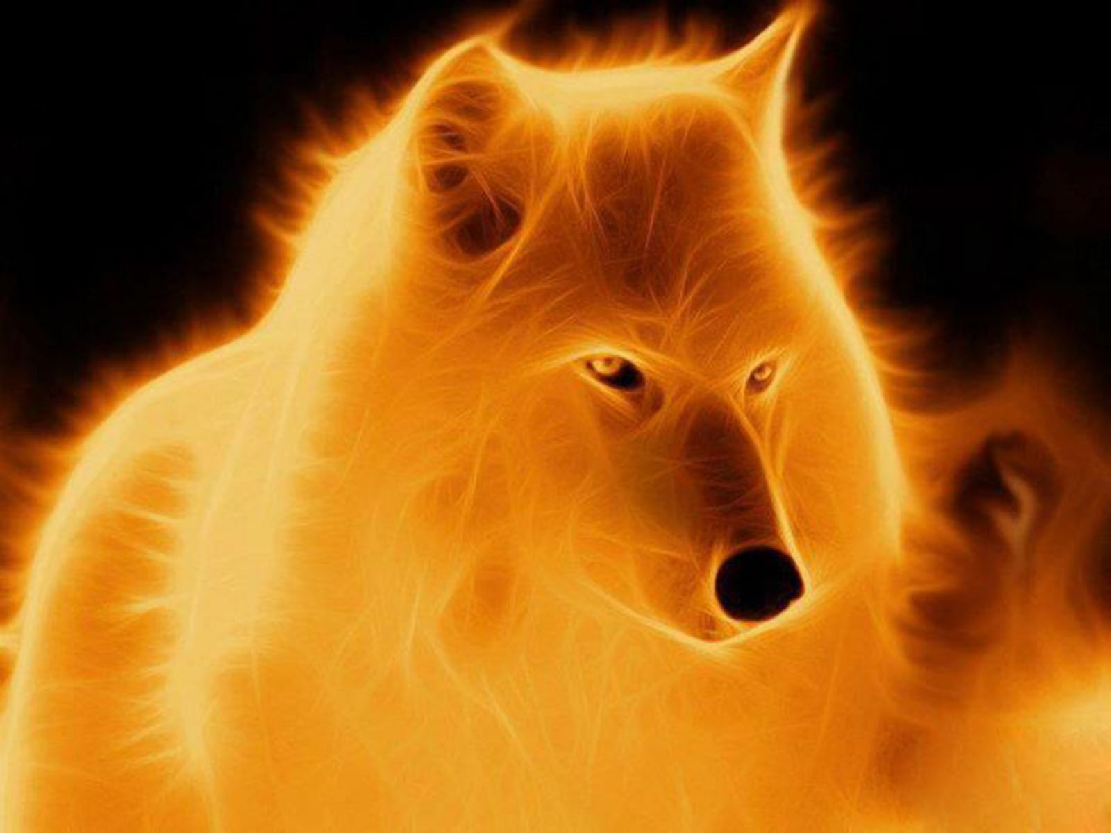 Cool Fire Wolf Wallpapers Wallpapers