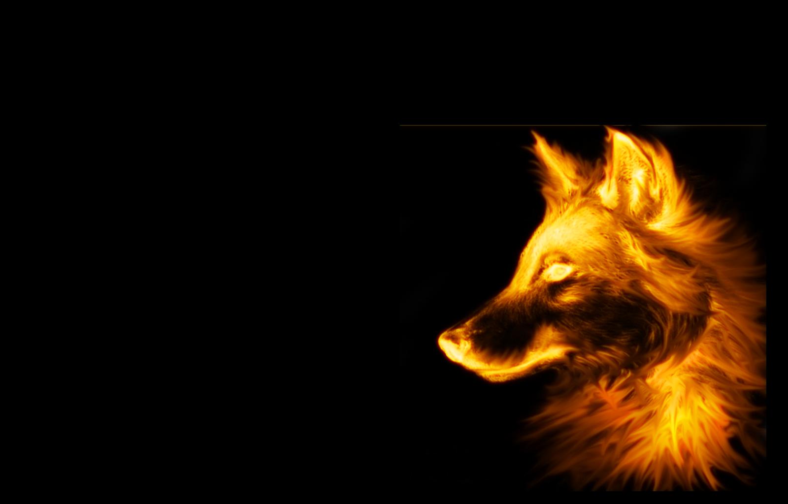 Cool Fire Wolf Wallpapers Wallpapers