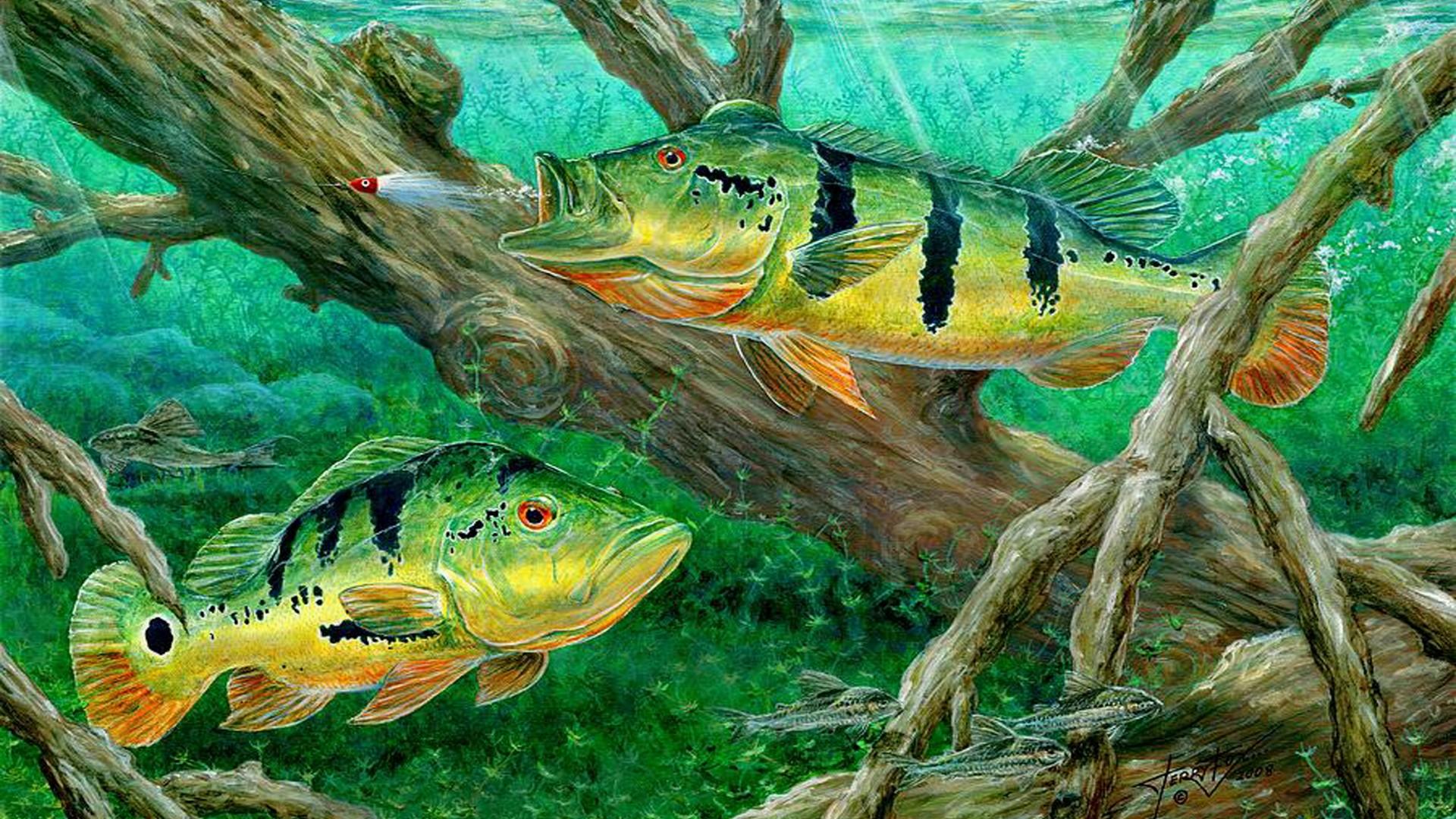 Cool Fish Backgrounds