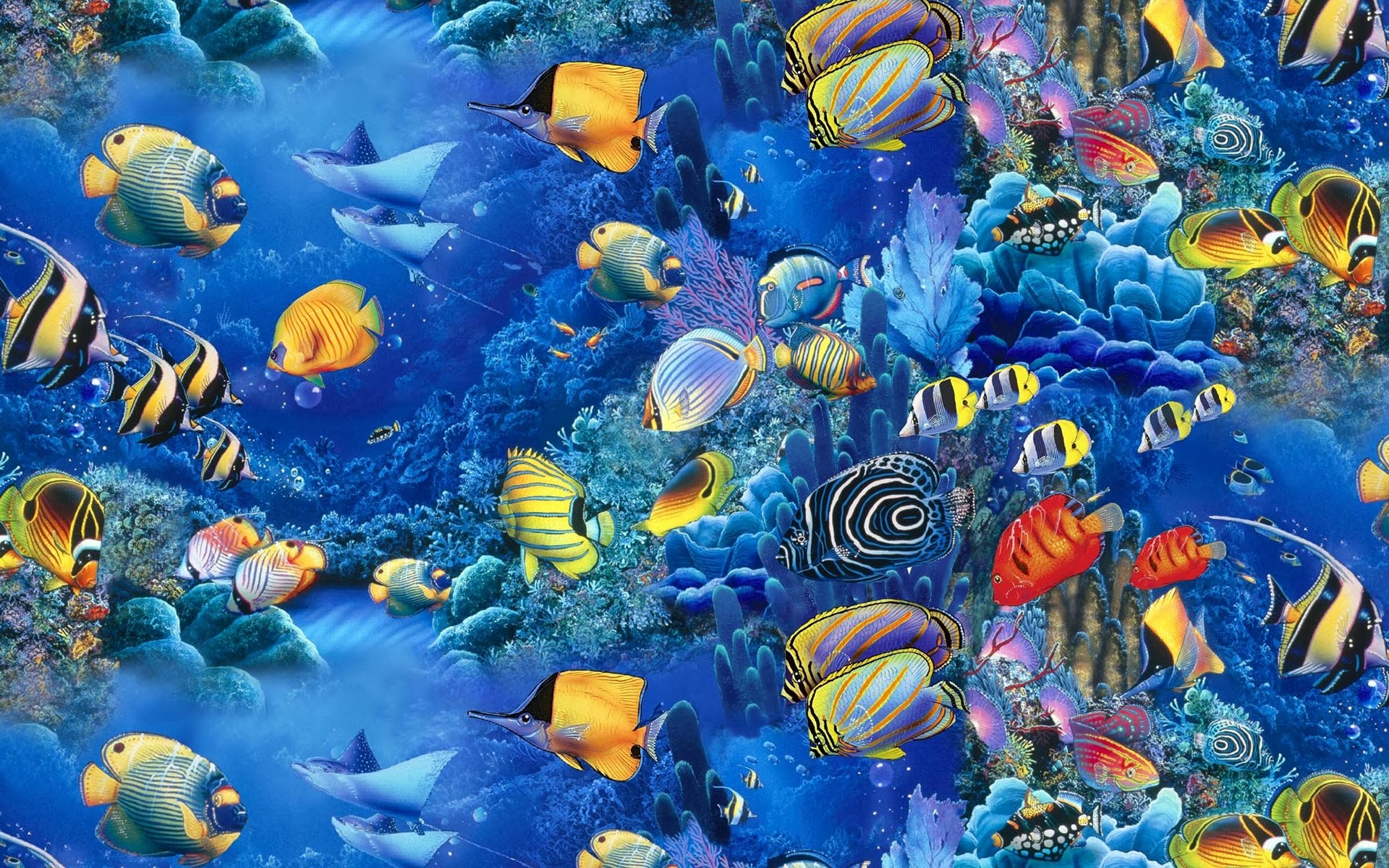 Cool Fish Wallpapers