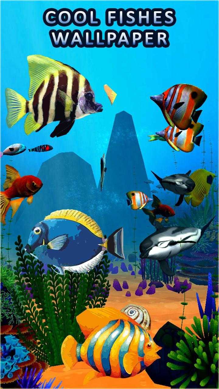 Cool Fish Wallpapers