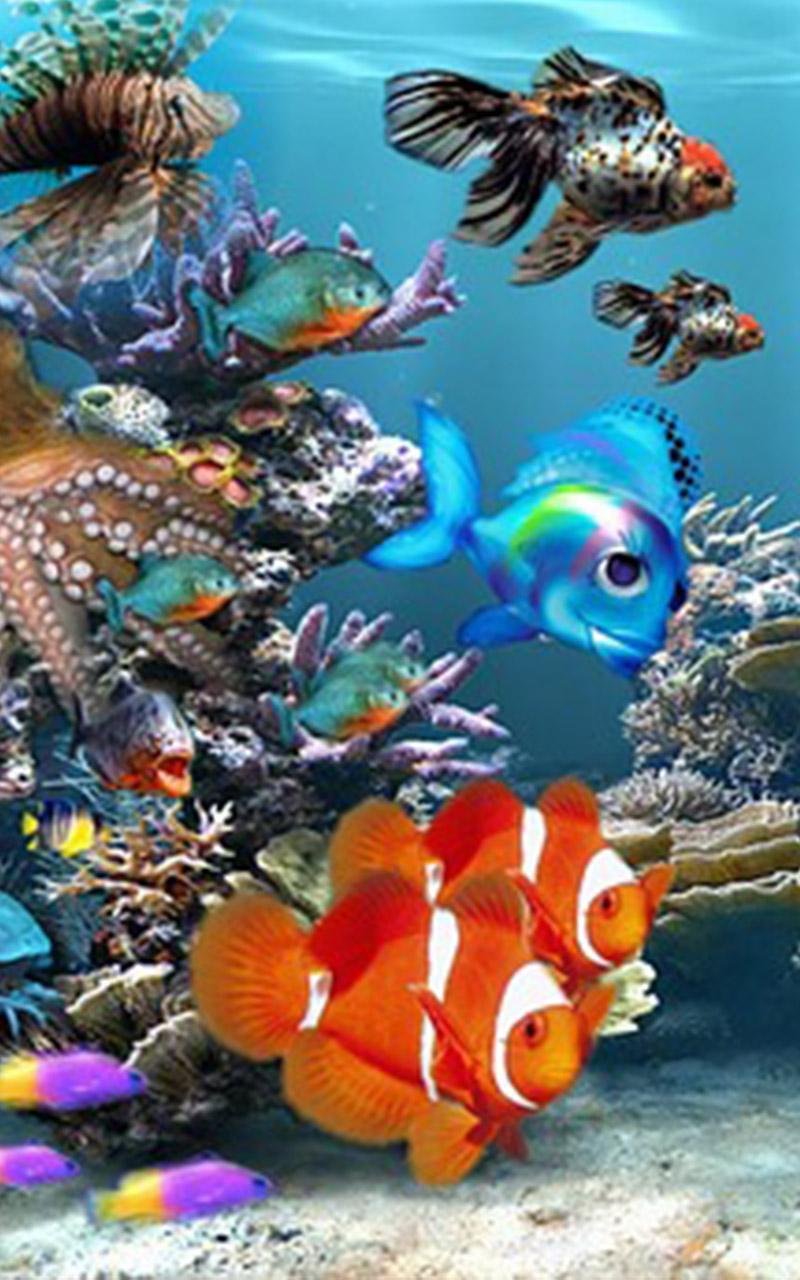 Cool Fish Wallpapers