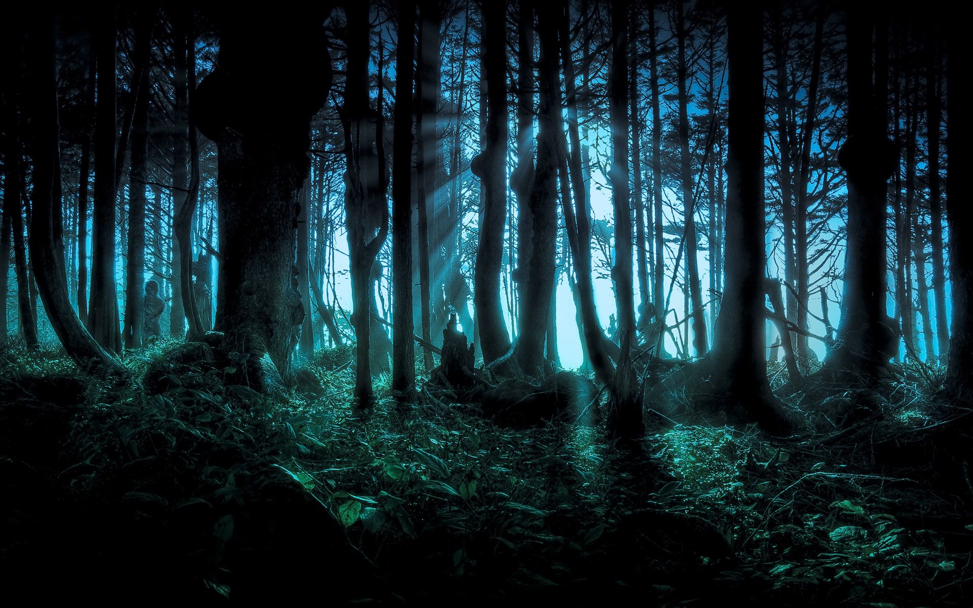 Cool Forest Backgrounds