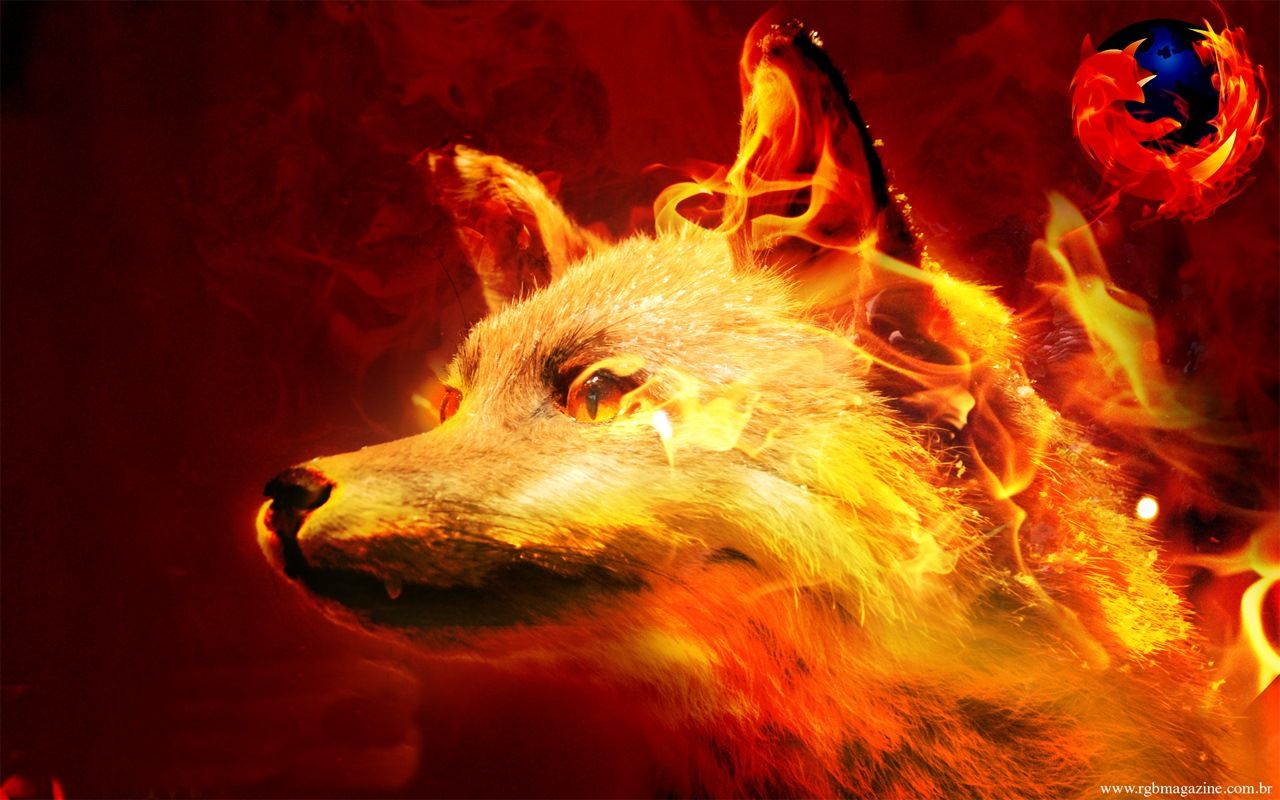 Cool Fox Wallpaper Wallpapers