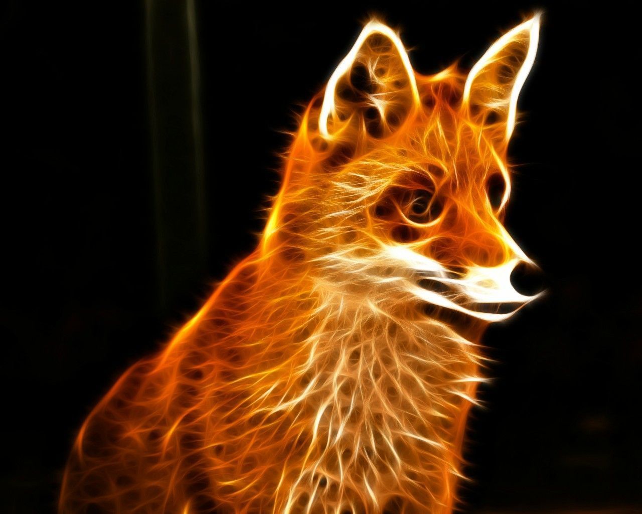 Cool Fox Wallpaper Wallpapers