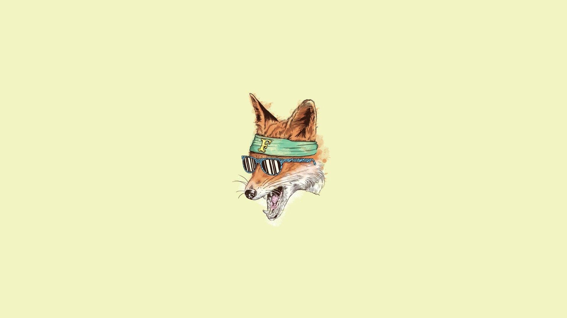 Cool Fox Wallpaper Wallpapers