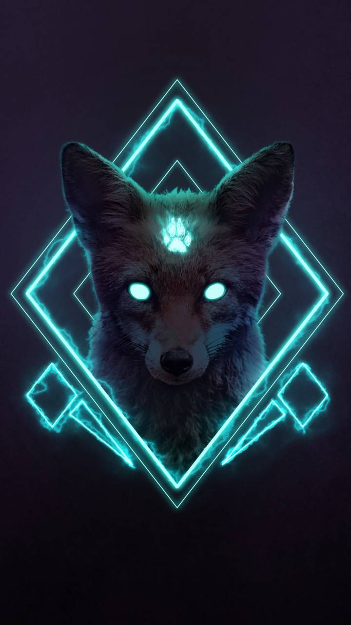 Cool Fox Wallpapers