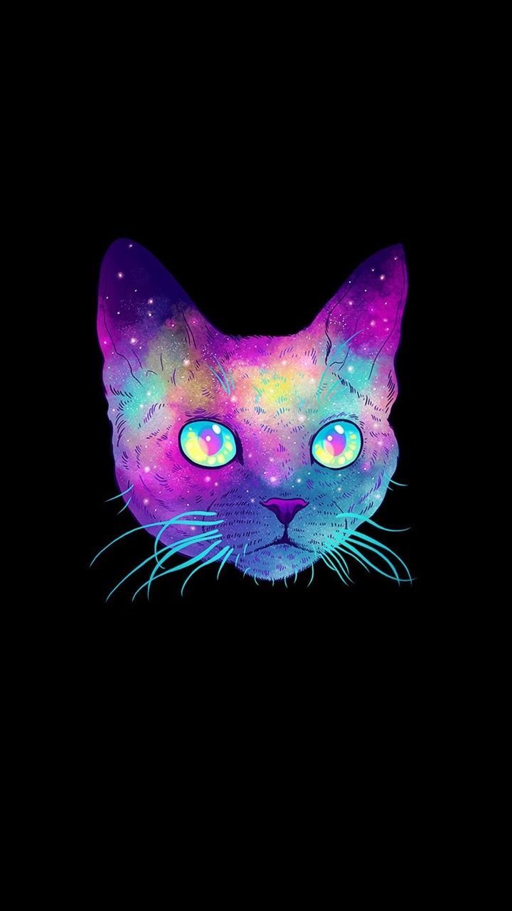 Cool Galaxy Cat Wallpapers