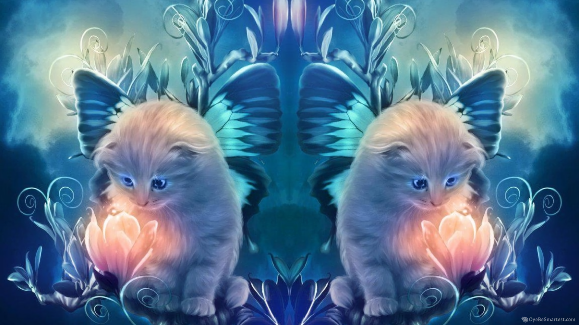 Cool Galaxy Cat Wallpapers