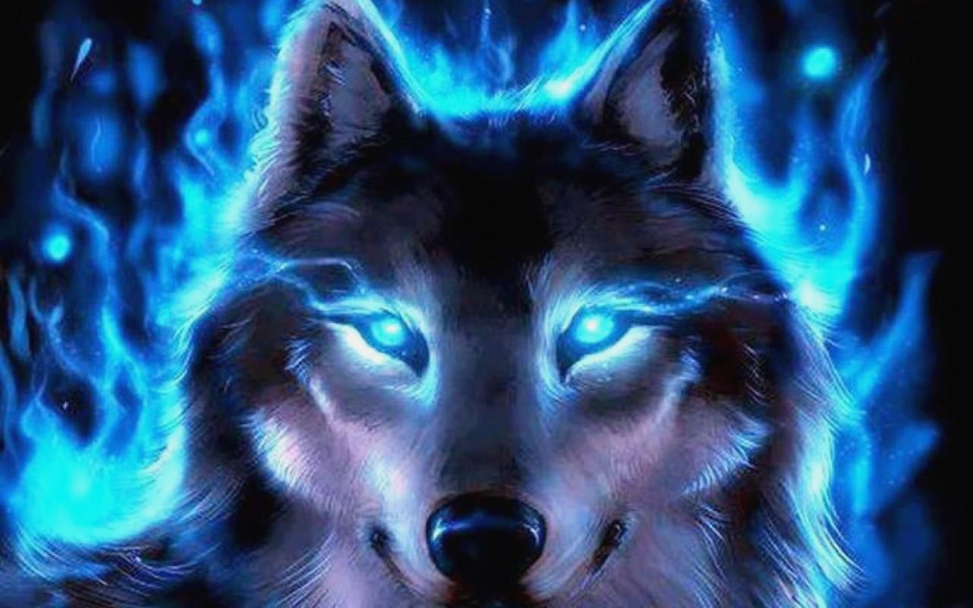Cool Galaxy Wolves Wallpapers Wallpapers