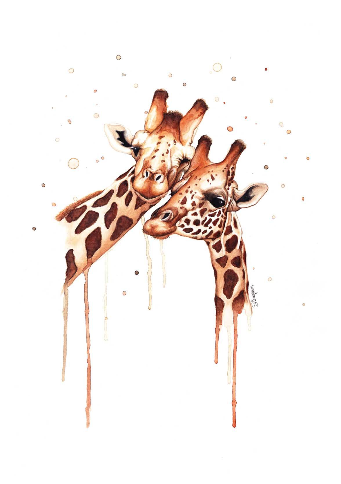 Cool Giraffe Wallpapers