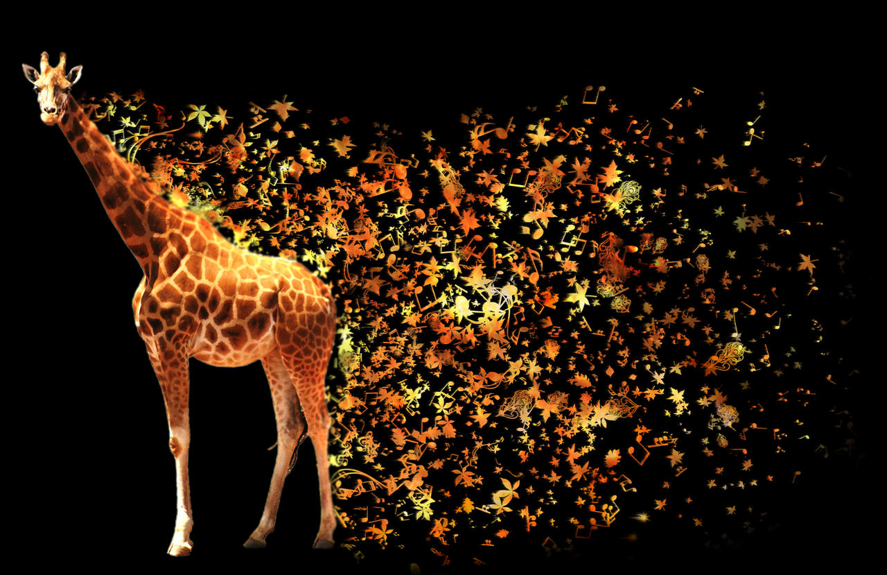 Cool Giraffe Wallpapers