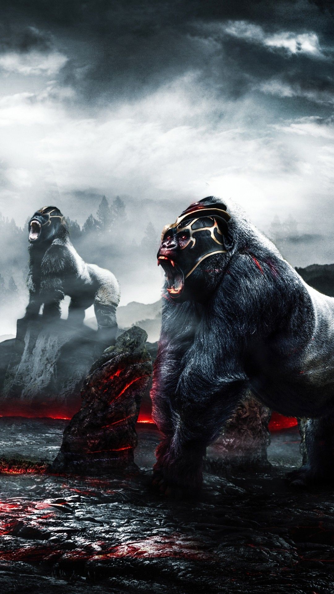 Cool Gorilla Wallpapers