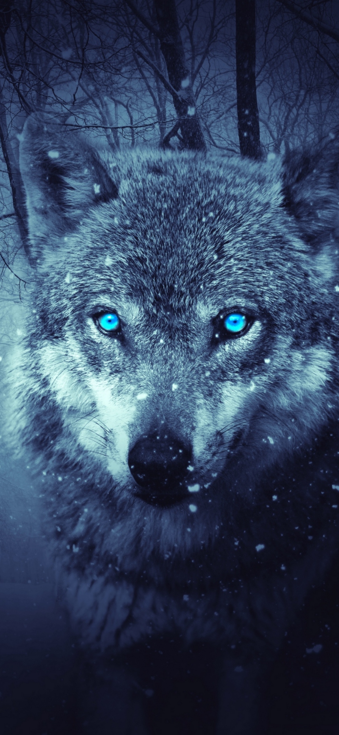 Cool Green Wolf Wallpapers