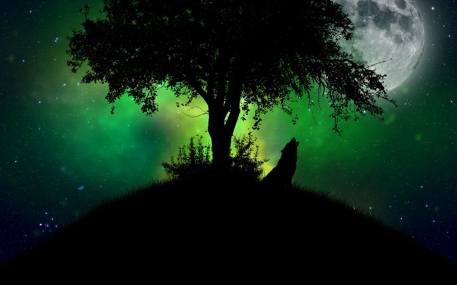 Cool Green Wolf Wallpapers