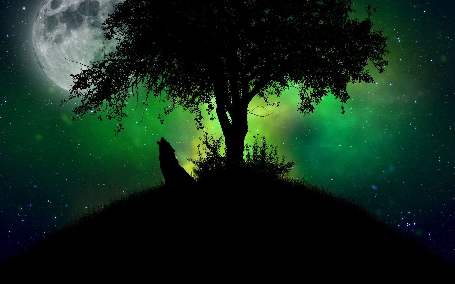 Cool Green Wolf Wallpapers