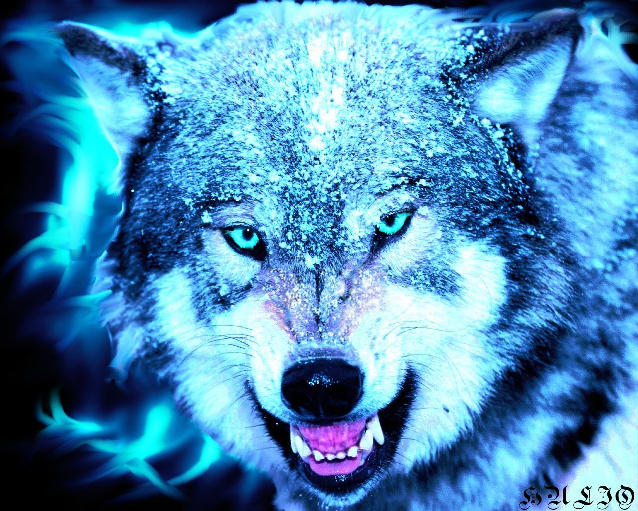 Cool Green Wolf Wallpapers