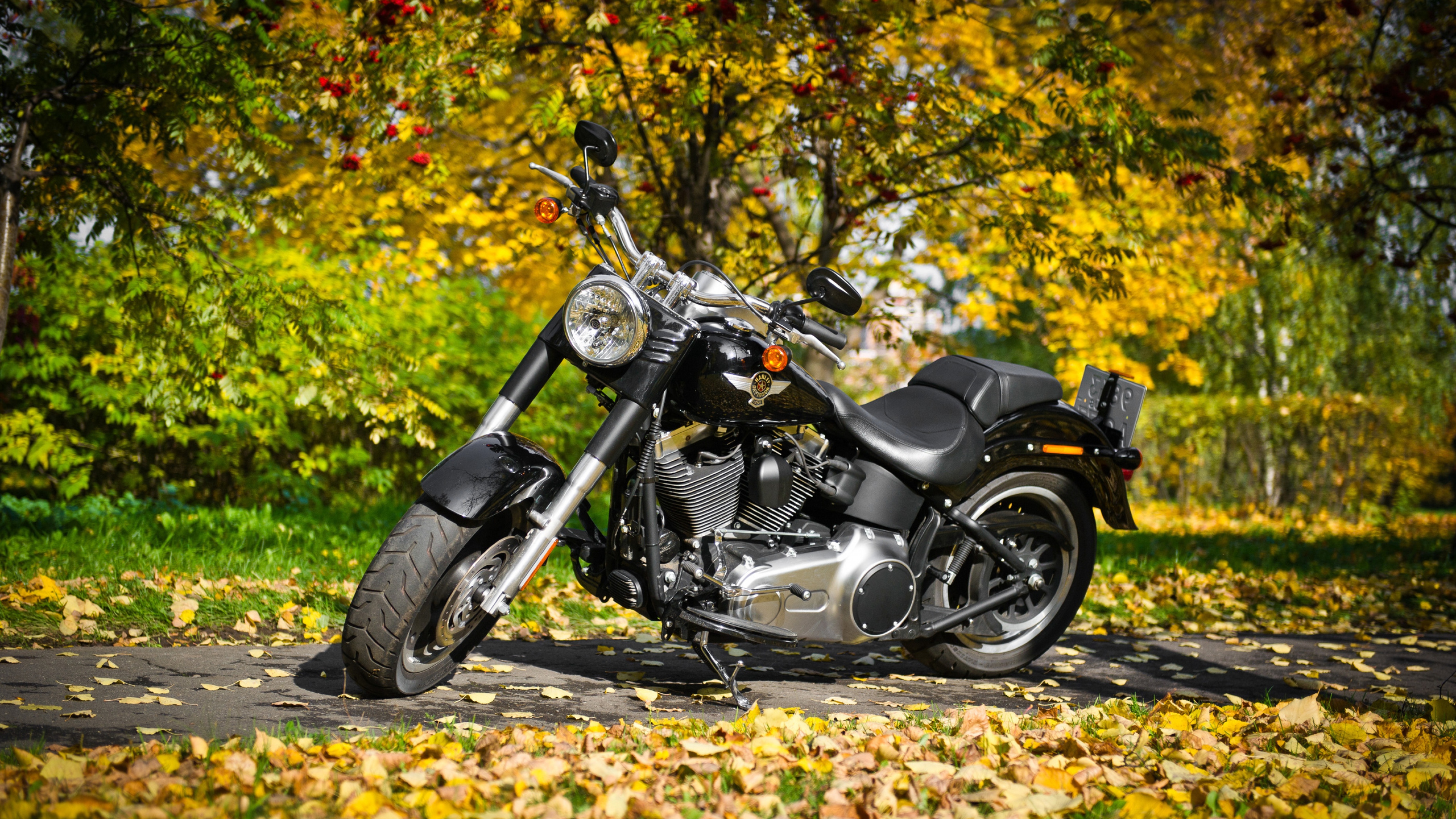 Cool Harley Davidson Wallpapers