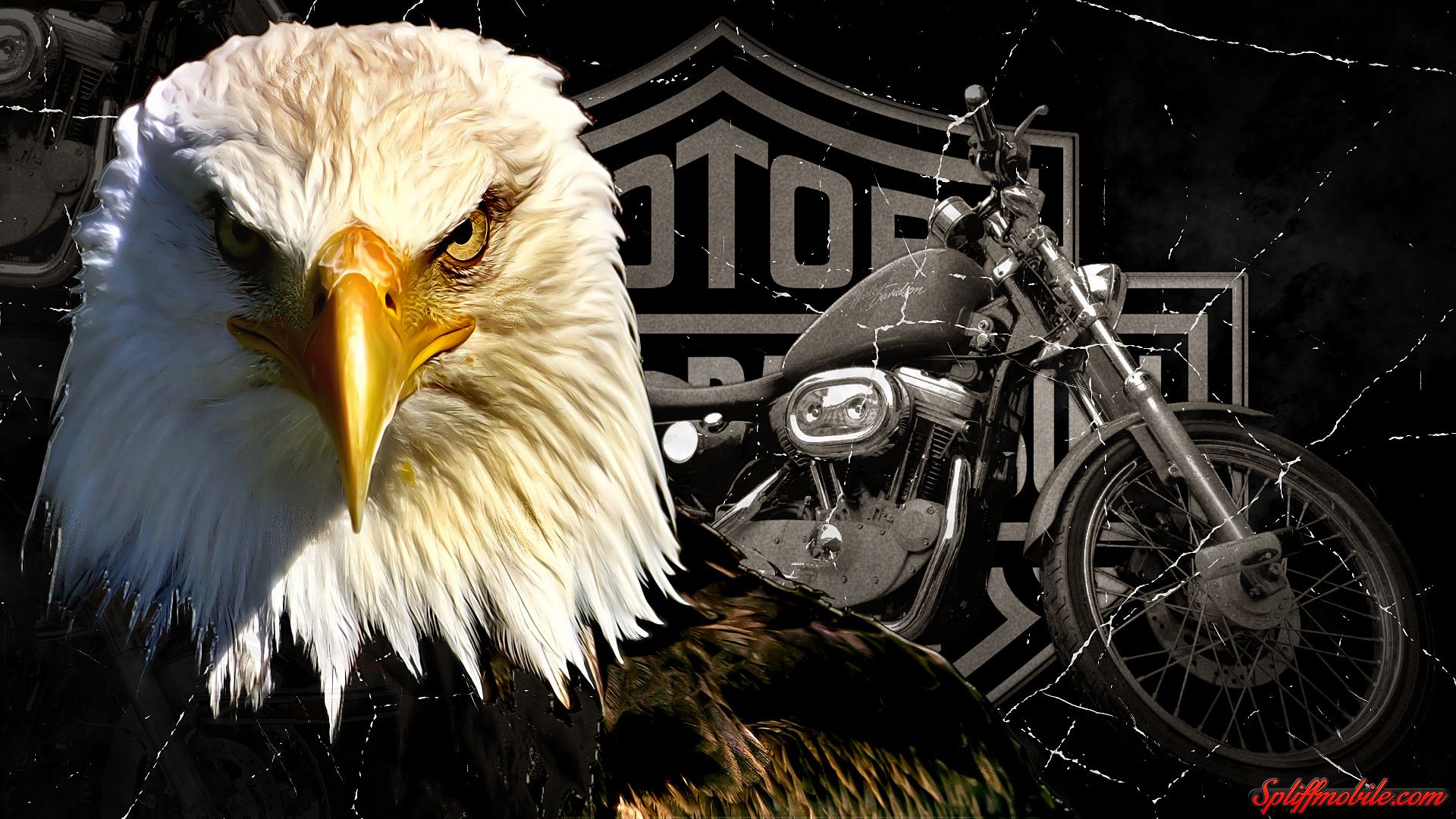 Cool Harley Davidson Wallpapers